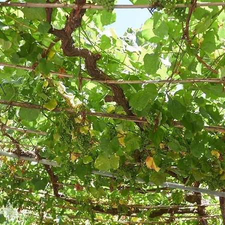 Vakantiehuis Enoturismo Casa De Chantada *