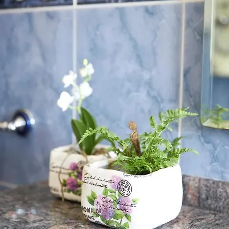 Enoturismo Casa De Chantada Meis