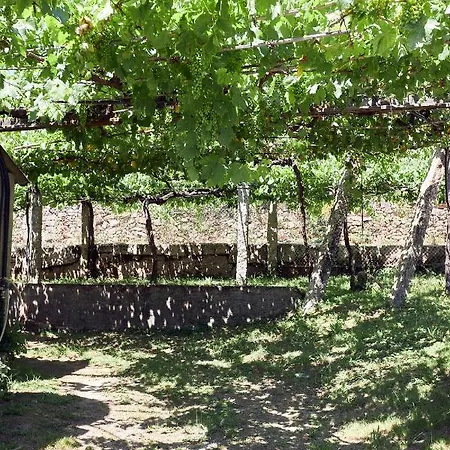 Enoturismo Casa De Chantada *